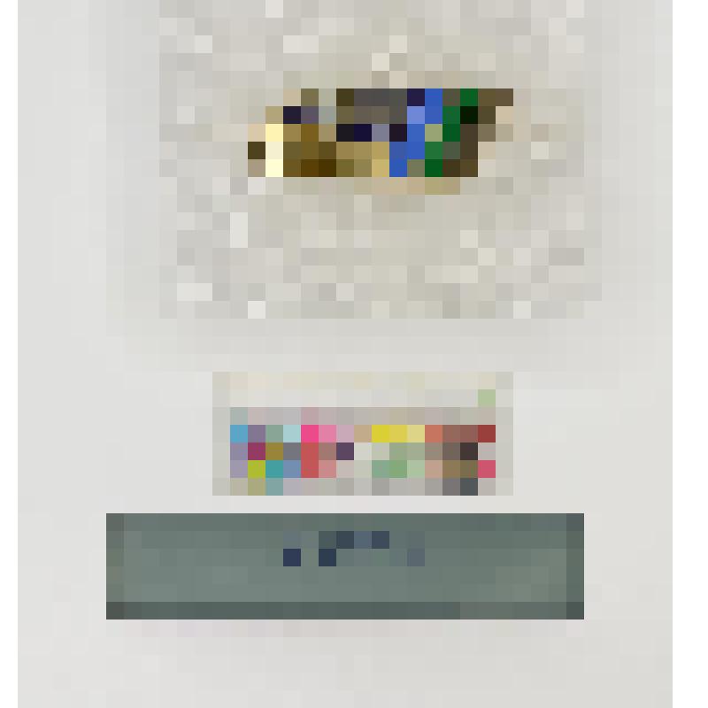 СССР. Фирменный значок поезда "Смена"