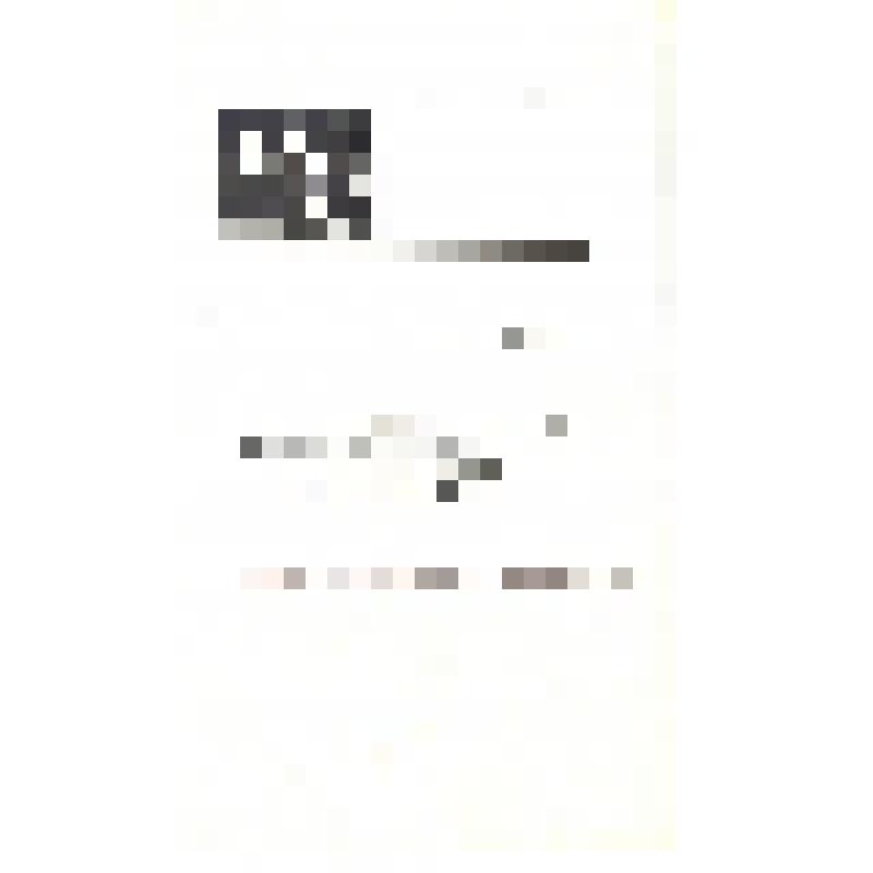 Программа  премьерного спектакля "Старомодная комедия" Ростовского драматического театра им. М. Горького