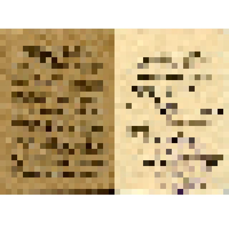 Билет № 388016 Н.П. Диева, члена инженерно-технической секции профессионального союза рабочих цветной металлопромышленности