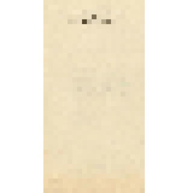 Программа. МЗК. Вечер студентов кафедры В. Борисовского. Исполнители: В. [Кундразкова], М. Жданова, А. Коган, М. Геллер, Ф. Дружинин и др. В программе: Вивальди, Форсайт, Сен-Санс, Борги - Борисовский, Гайдн, Глюк, Шуберт, Шуман - Борисовский и др