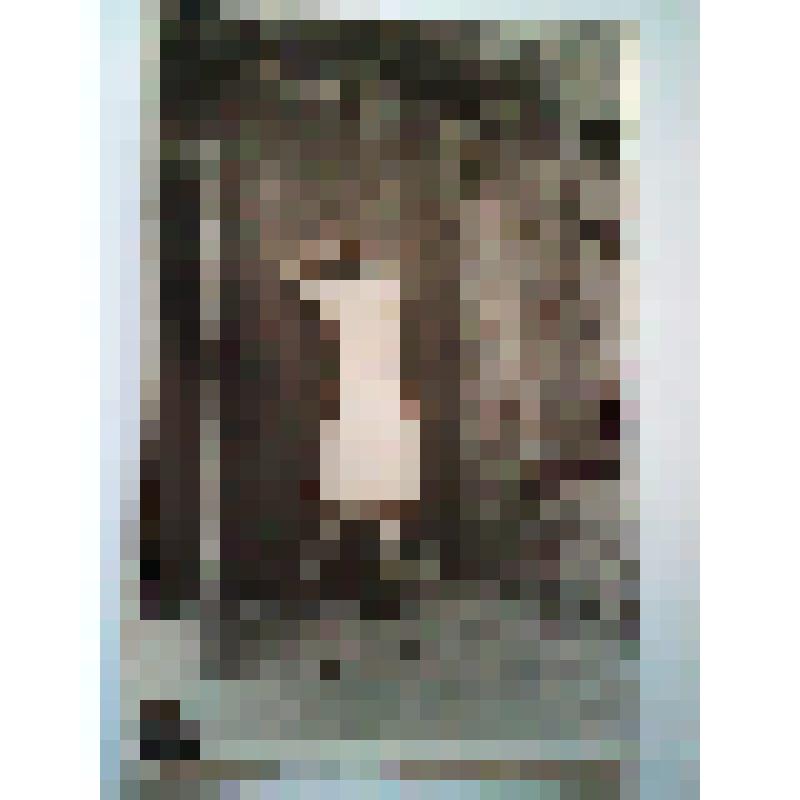 Фотография расстрела девушки-партизанки на оккупированной немцами советской территории