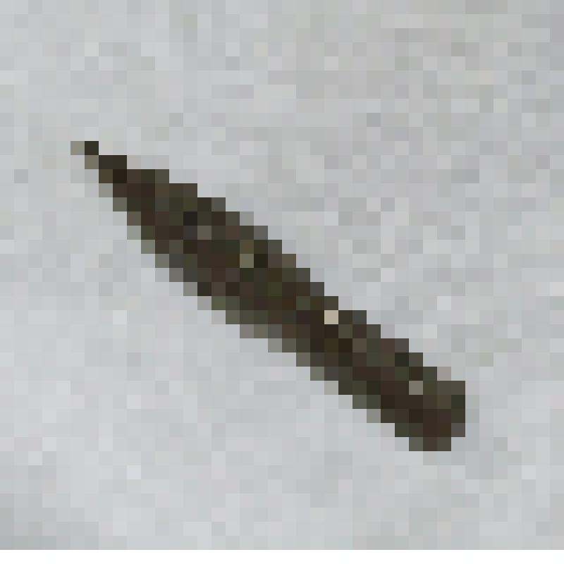 Перо ученическое для ручки, из коллекции бытовых вещей семьи Орловой Калерии Николаевны, бывшей заведующей лабораторией Саратовского областного туберкулезного диспансера