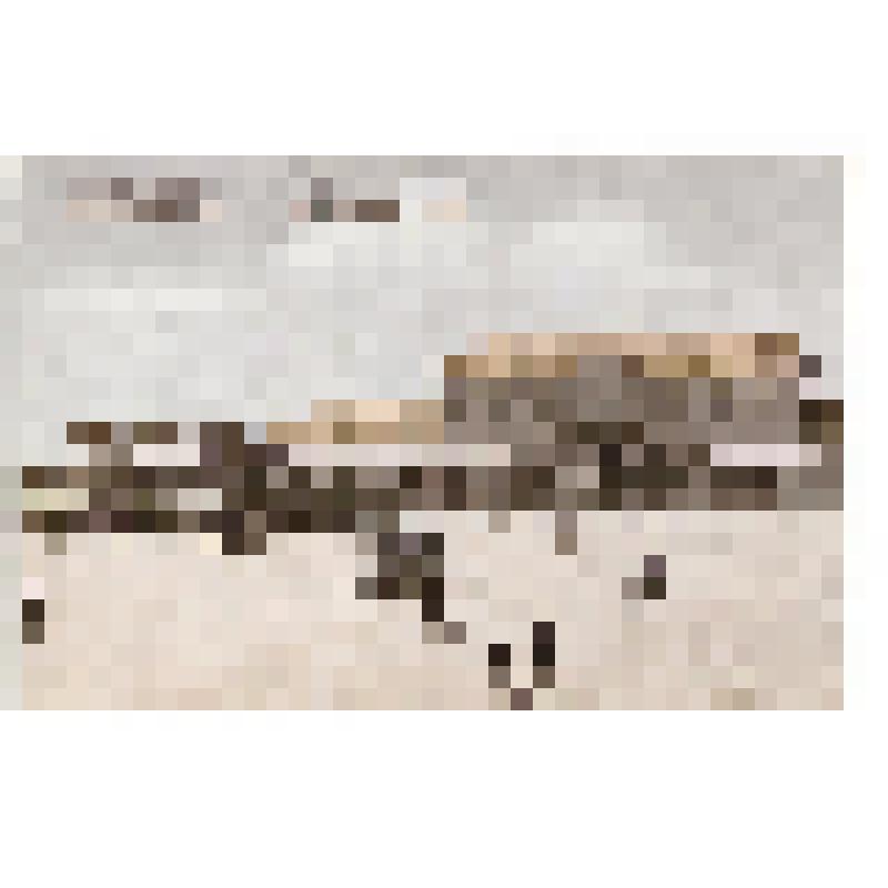 Открытка. "№ 1. Улицы Тоёхара, Вокзал Тоёхара". Из комплекта: Коллекция японских открыток. /Карафутское почтовое управление