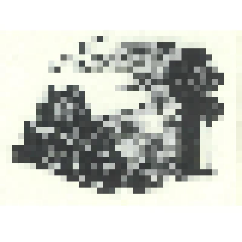 «Осень». Гравюра для обложки. Изд. «Искусство».1975