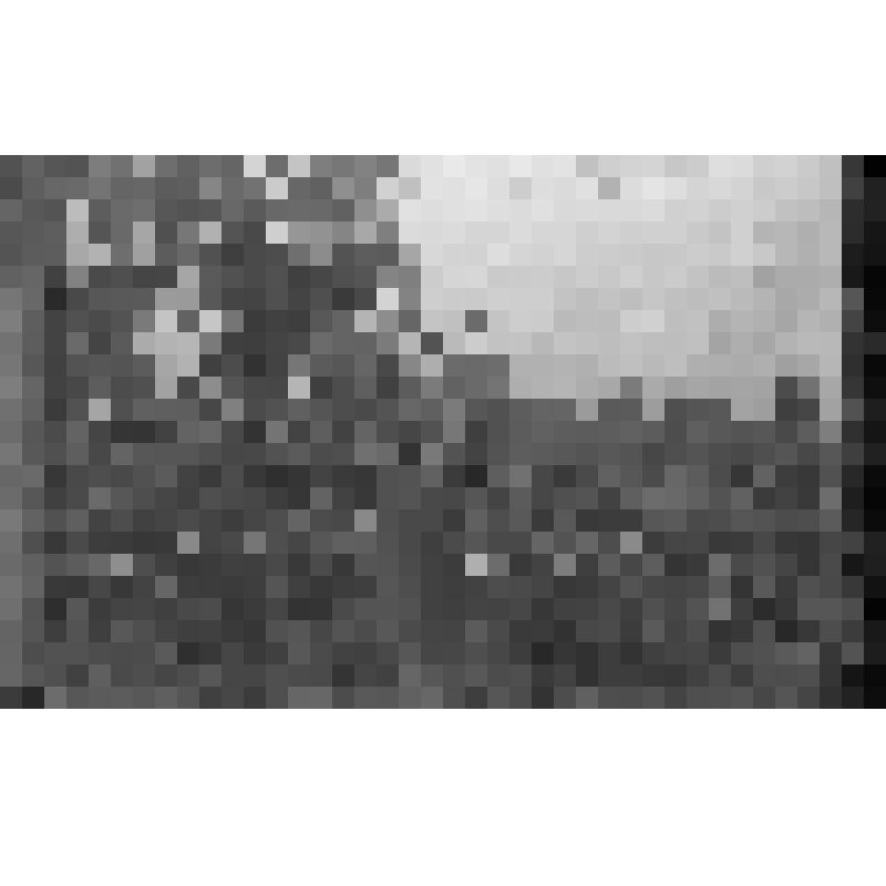 Сбитое дерево