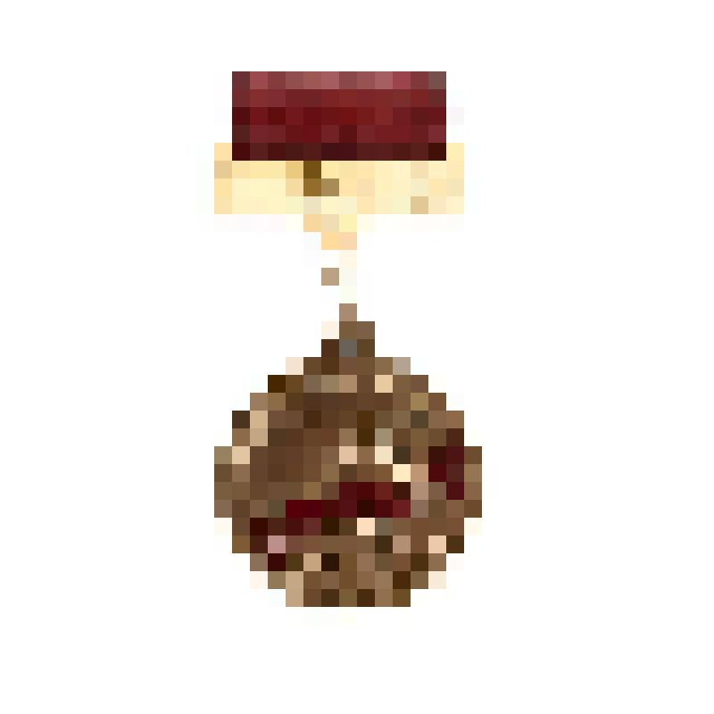 Знак нагрудный ВЦСПС "За достижения в самодеятельном искусстве" Коваленко Г.Д. Вручен 17 апреля 1985г