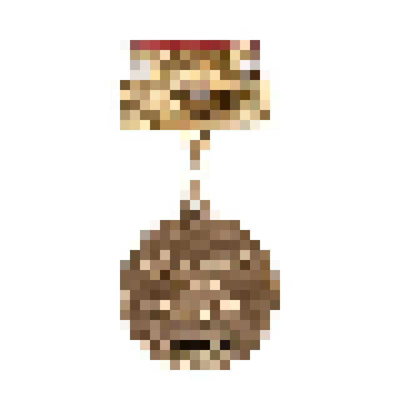 Знак нагрудный ВЦСПС "За достижения в самодеятельном искусстве" Коваленко Г.Д. Вручен 17 апреля 1985г