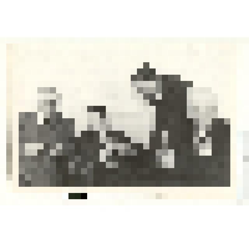 Фотография: первый секретарь горкома партии Парфенов Евгений Ерофеевич вручает новые партийные билеты старейшим коммунистам Пьянкову И.И., Гусаченко Г.К., Исыпову И.Я