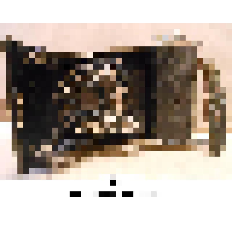 Фотоаппарат широкопленочный (60 х 90) «Agfa»