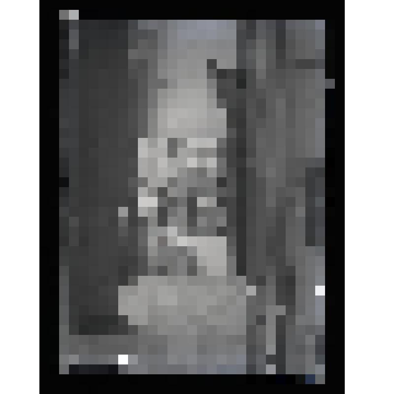 Негатив на стеклянном носителе. Фотографии на стене комнаты