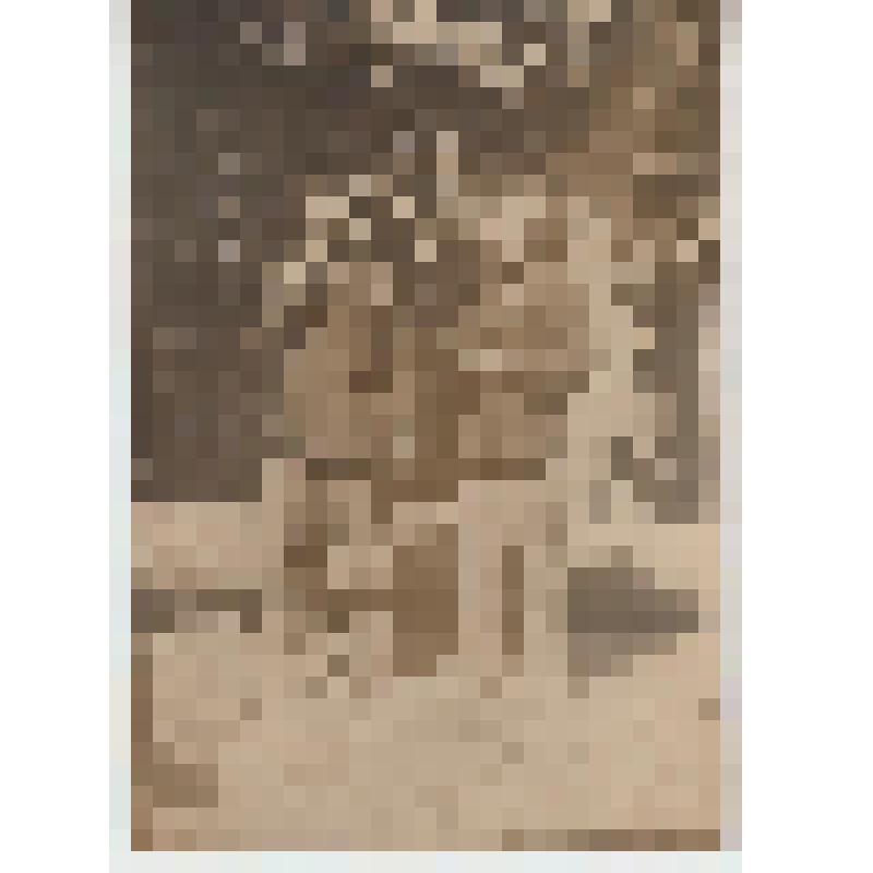 Фотография. Климов Георгий Петрович и Кузьминых Пётр Фролович