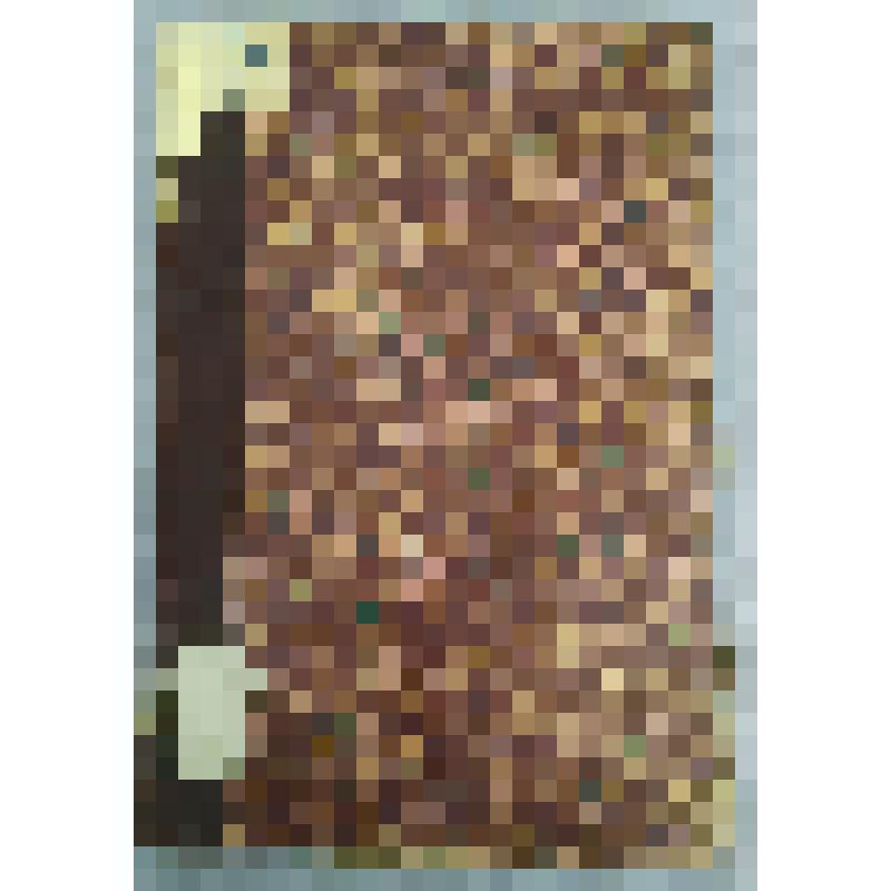 Книга "Исторический вестник"