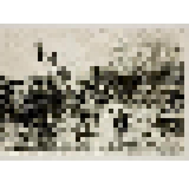 На Хайларском укрепрайоне. Манчжурия