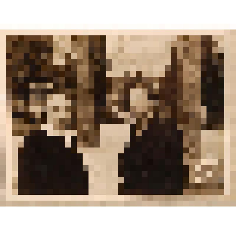 Фотография. Коничев К. И. (слева) и писатель Викулов С