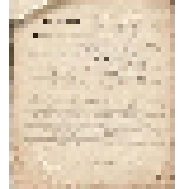 Телеграмма № 124 в г. Печерск В.Н.Алину от Головина из г. Усть-Цильмы, 12 июля