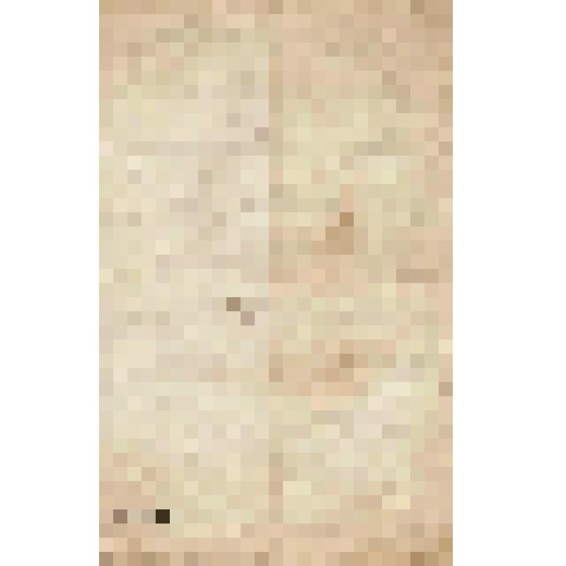 Письмо Алину Н.П. из Белогорского Свято-Николаевского православно-миссионерского монастрыря от настоятеля и помощника епархиального миссионера иеромонаха Варлаама, 17 мая 1897 г., № 388