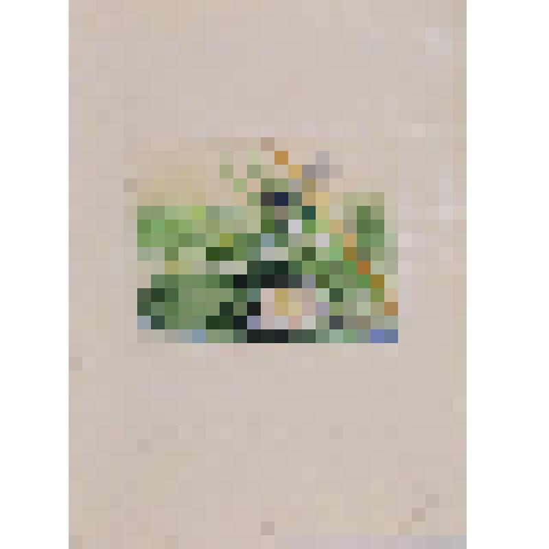 Соколов-Микитов И.С. Домик в лесу.- Л.: Детгиз, 1963. Иллюстрация.На берегу реки. Стрекоза. Рисунок