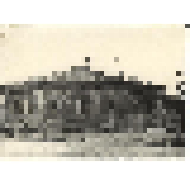 Фото. Дом, где размещался зооветтехникум после войны