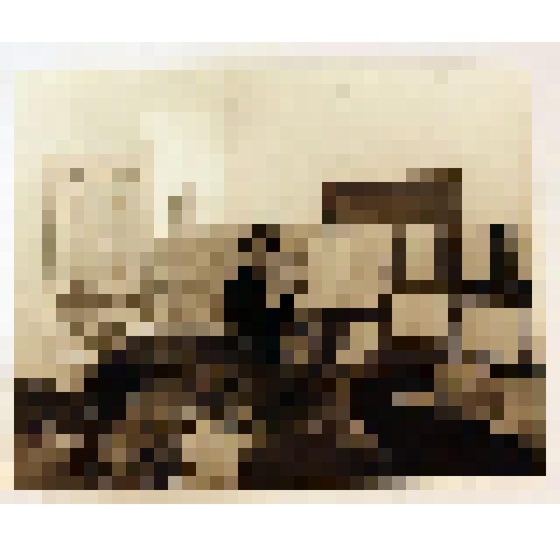 Фотография. Малов Николай Михайлович, старший научный сотрудник археологической лаборатории при историческом факультете СГУ, выступает с докладом на первых Рыковских чтениях