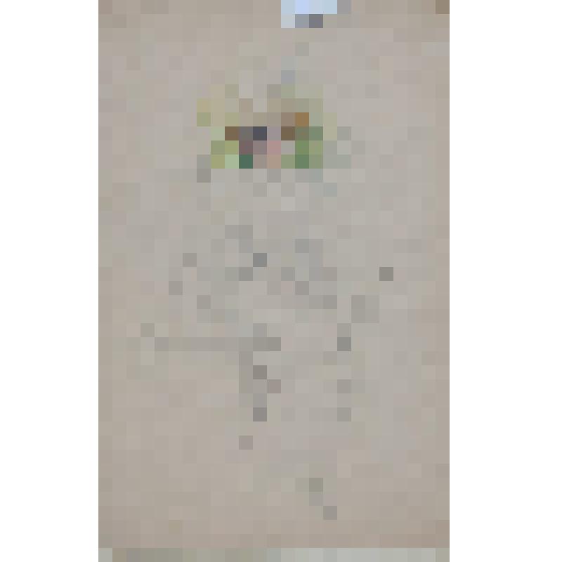 "Этюд с женщиной"