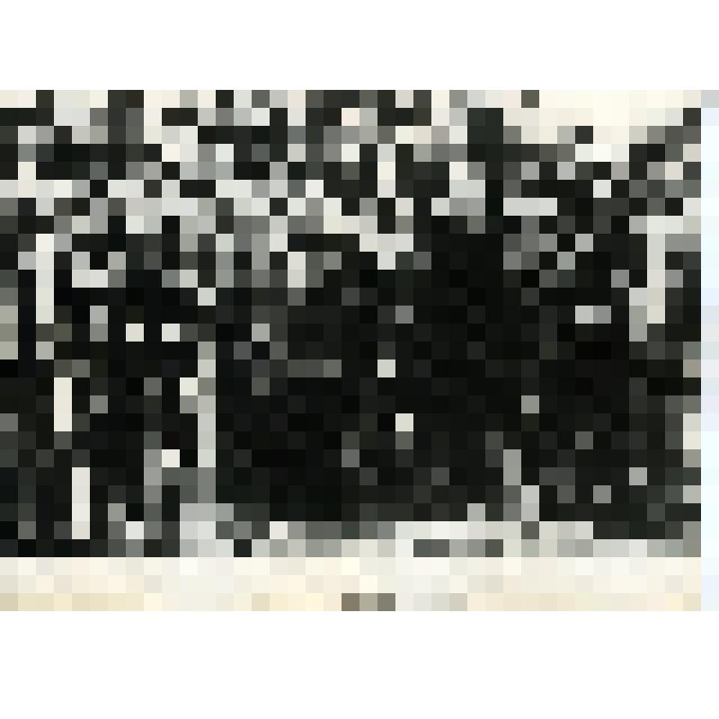 Фотопортрет групповой. Строительство Красноярской ГЭС. Бригада Владимира Поливщукова. 10 августа 1961г