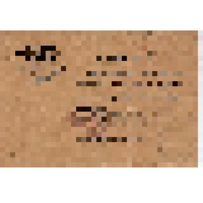 Билет N 111 делегата V обл. съезда Советов Тетерина Н.Г