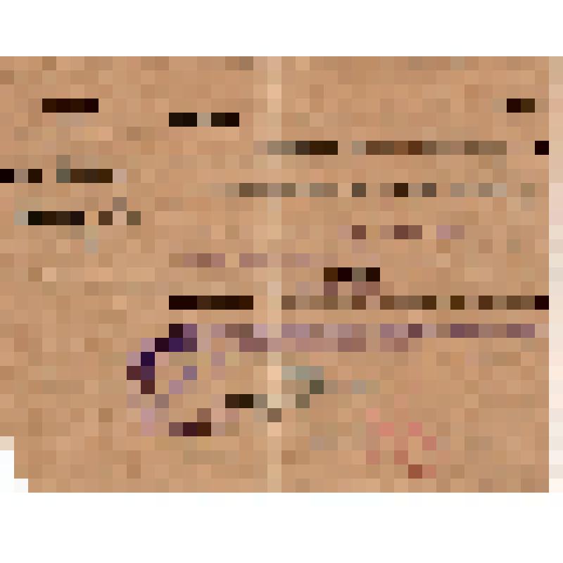 Командировочное удостоверение N1509 Безголосова Я.С., командированного в Новосибирск на краевое совещание директоров МТС