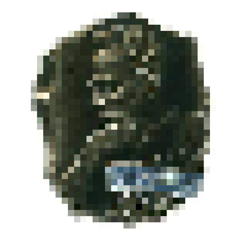 Значок. Иван Франко, на булавке. СССР