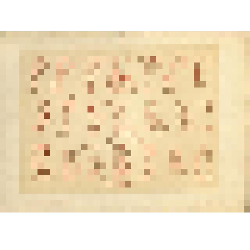 Лист XIX (19). Русский орнамент XII в. Из альбома «История русского орнамента. С X по XVI столетие. По древним рукописям»