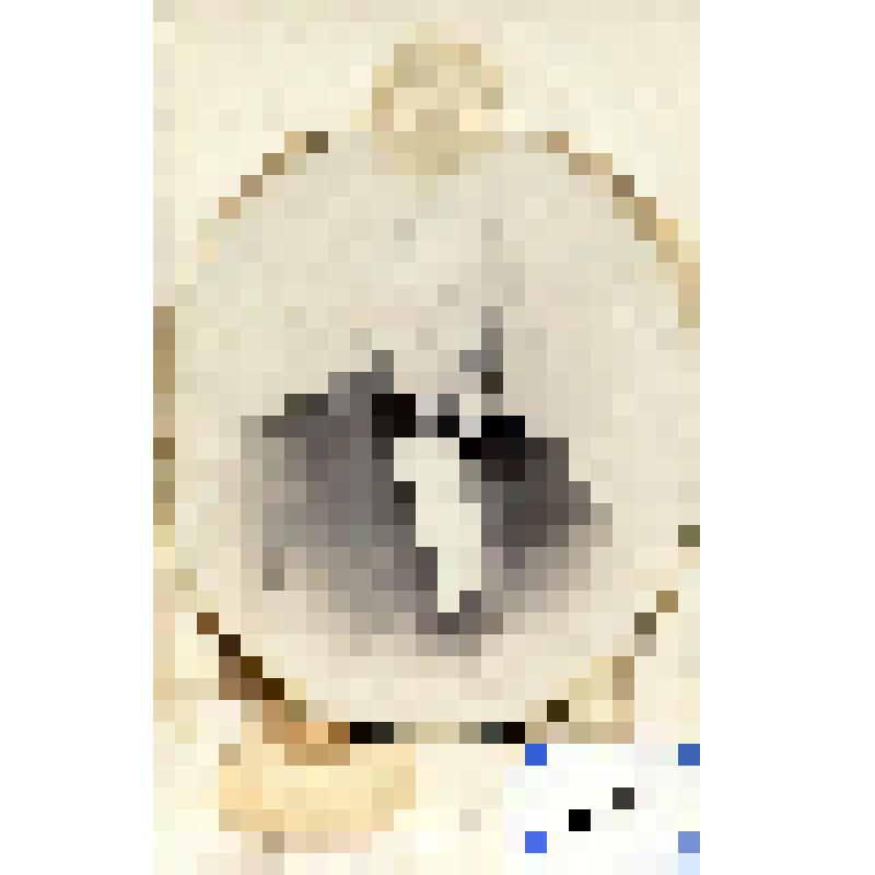 Фотография черно-белая. Перхуров Александр Николаевич