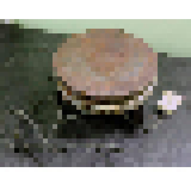 Плитка электрическая бытовая с закрытым нагревательным элементом (ПЭ-600-2), из коллекции документальных, фотографических и вещевых материалов о Миловидовой Инне Борисовне (1929-2009), кандидате биологических наук, преподавателе биофака Саратовского госуд