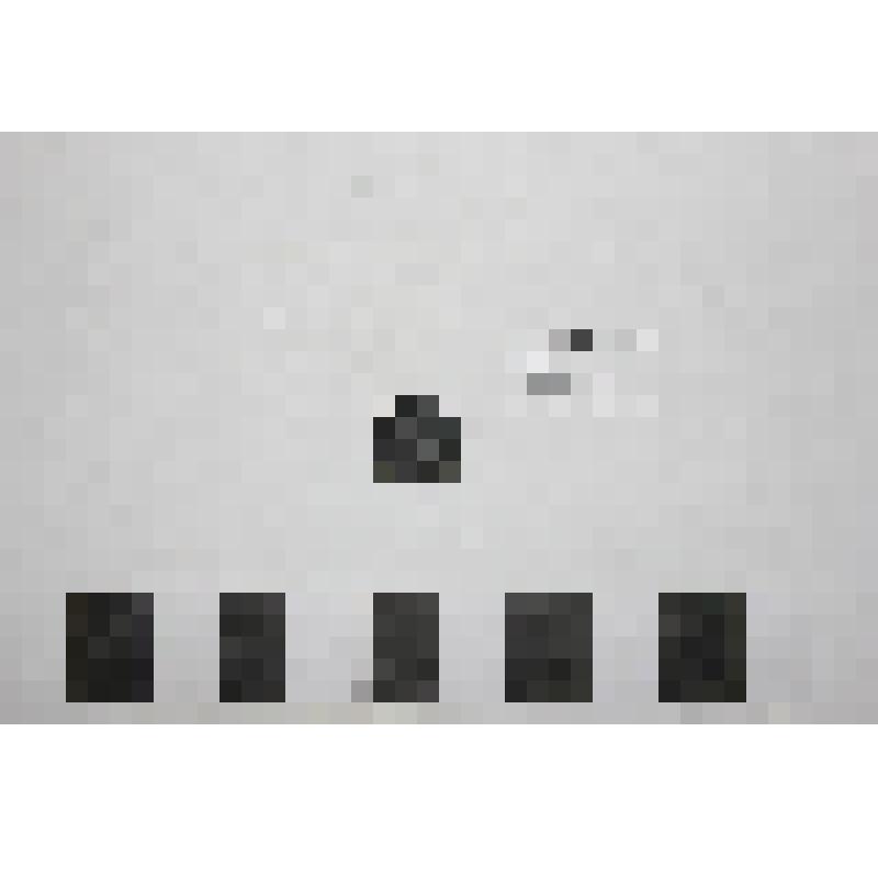 Монета. Пентамуммий