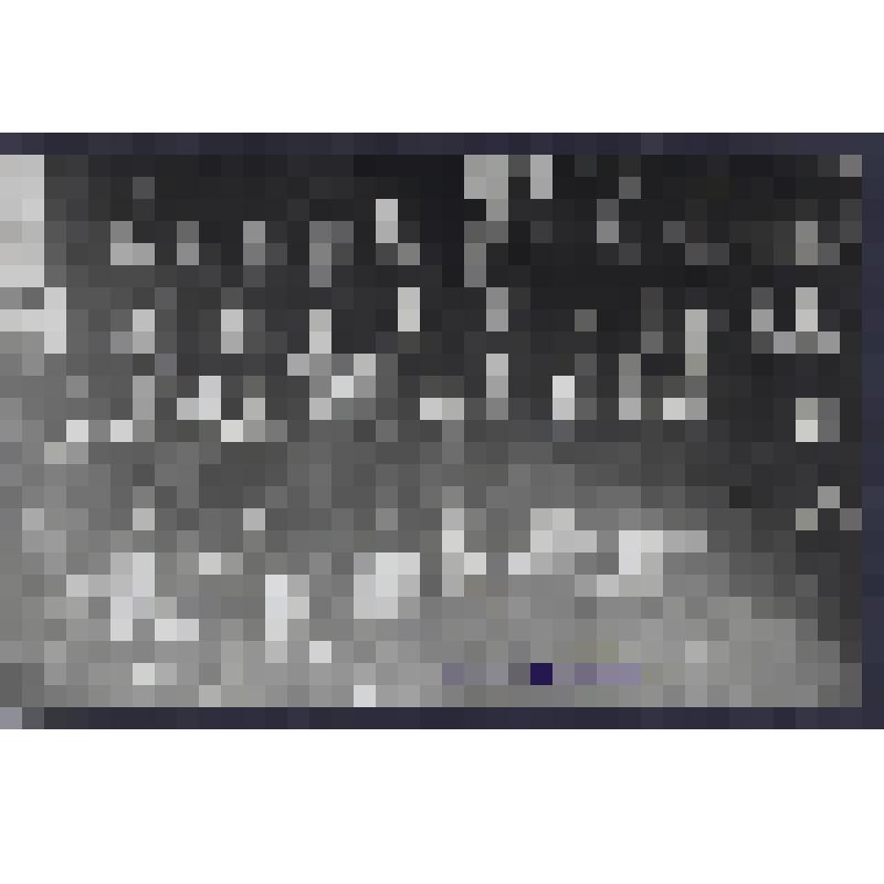 Фотография. Чемруков Никита Климентьевич, подполковник интендантской службы, 1929-1933 гг на КАФ, 1934 - военком УК СФ "Комсомолец". Чемруков в группе товарищей военных моряков