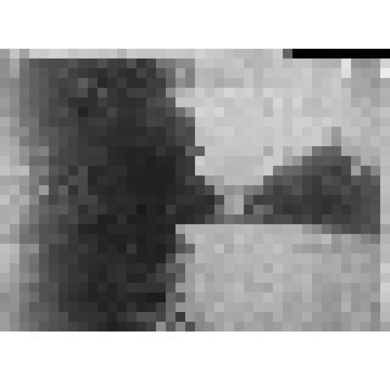 Вид озера с особняка на берегу