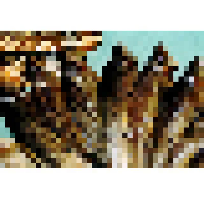 Лещи копченые - продукция колхоза "Социалистический путь"