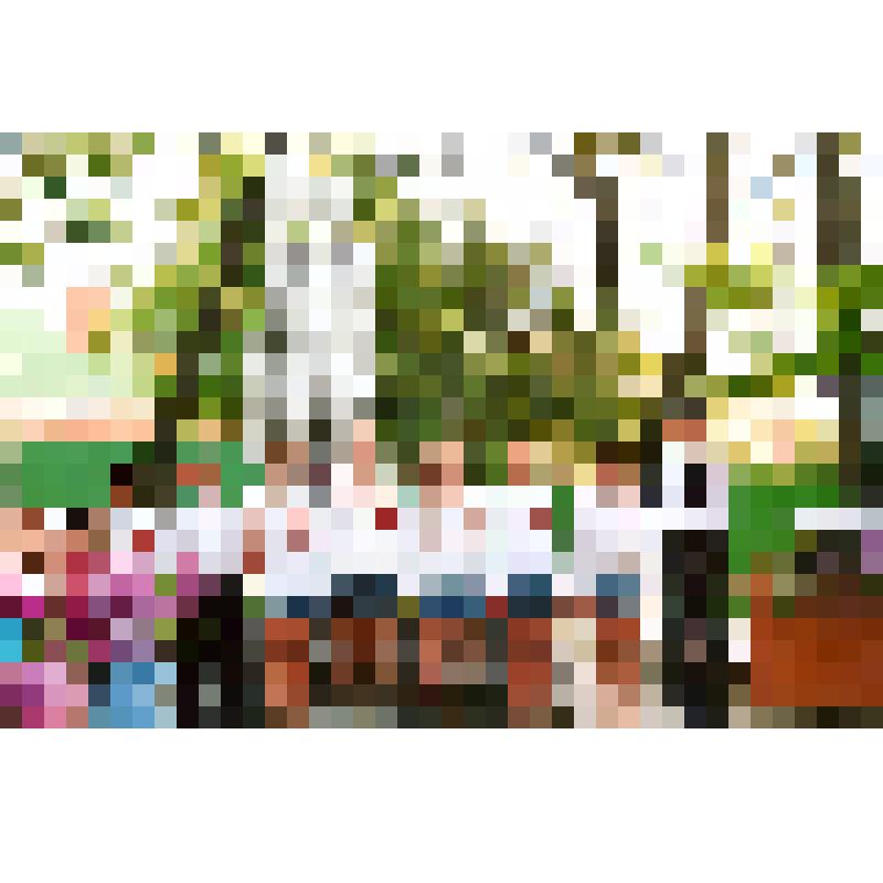 Почетный караул старшеклассников у памятника советскому солдату в День Победы