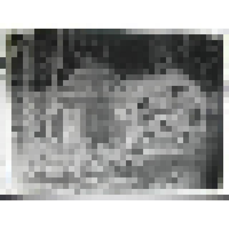 Новодевичий монастырь. Новодевичий пр., 1, основан 1524 г.  постройки XVI-XVII вв. г. Москва. Новодевичий монастырь. Надгробия А.Н. Муравьева, часовня Д.М. Волконского и  Н.А. Волконской, М.И. Муравьева-Апостола. Общий вид участка