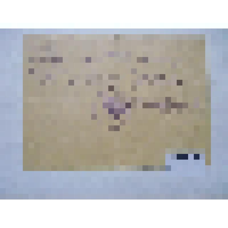 Справка № 997 от 22.V.1958 г. на имя Воробьева Михаила Андреевича