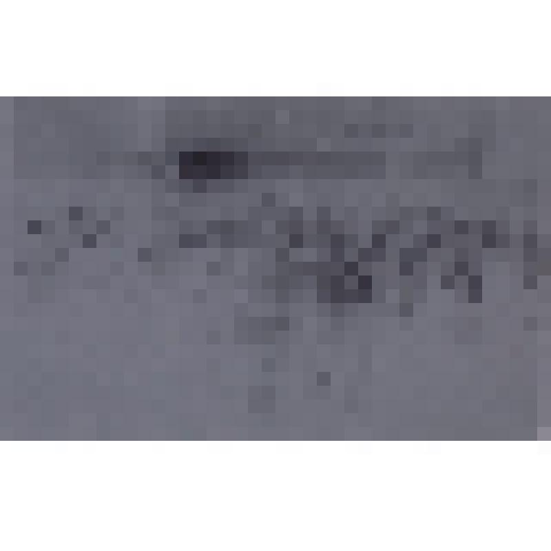 Негатив. "Зрители слушают выступление Васильева В.А. - руководителя Поморского Народного хора, 1987 г."