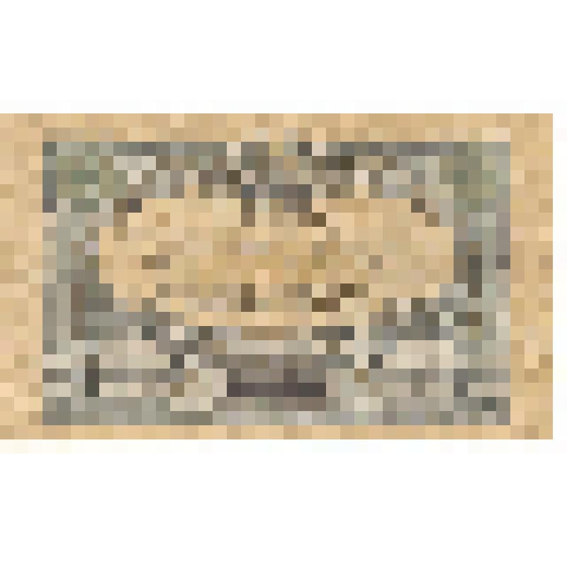 Бумажный денежный знак. Билет государственного казначейства, гл. командования  Вооружёнными силами на юге России, 50 рублей