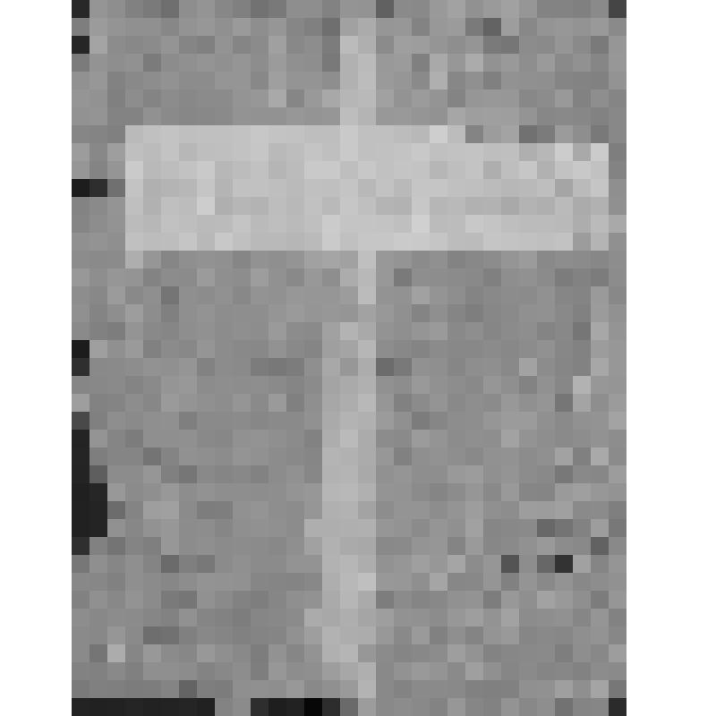 УДОСТОВЕРЕНИЕ ОТ 27 ДЕКАБРЯ 1919 Г. В ТОМ, ЧТО НИКАНОРОВ М.П. ЯВЛЯЕТСЯ ПОМ.КОМ. 1-ГО УФИМСКОГО БАТАЛЬОНА МЫЛЬНИКОВА