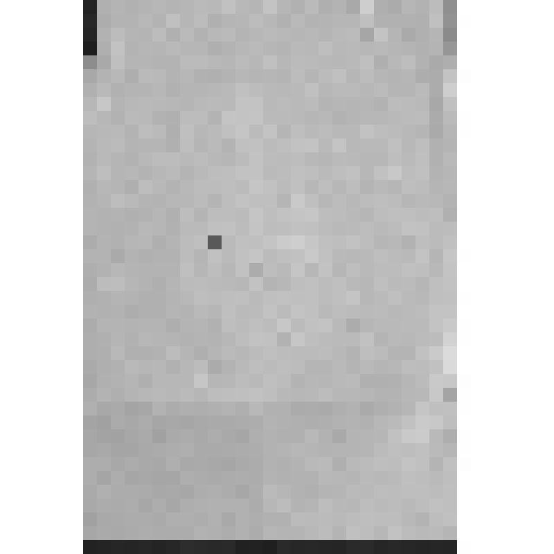 УДОСТОВЕРЕНИЕ ОТ 27 ДЕКАБРЯ 1919 Г. В ТОМ, ЧТО НИКАНОРОВ М.П. ЯВЛЯЕТСЯ ПОМ.КОМ. 1-ГО УФИМСКОГО БАТАЛЬОНА МЫЛЬНИКОВА