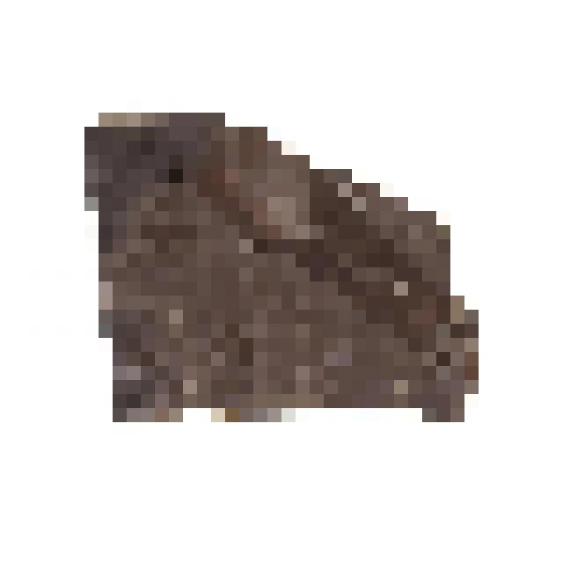 Членистоногие (?). Arthropoda. Отпечаток