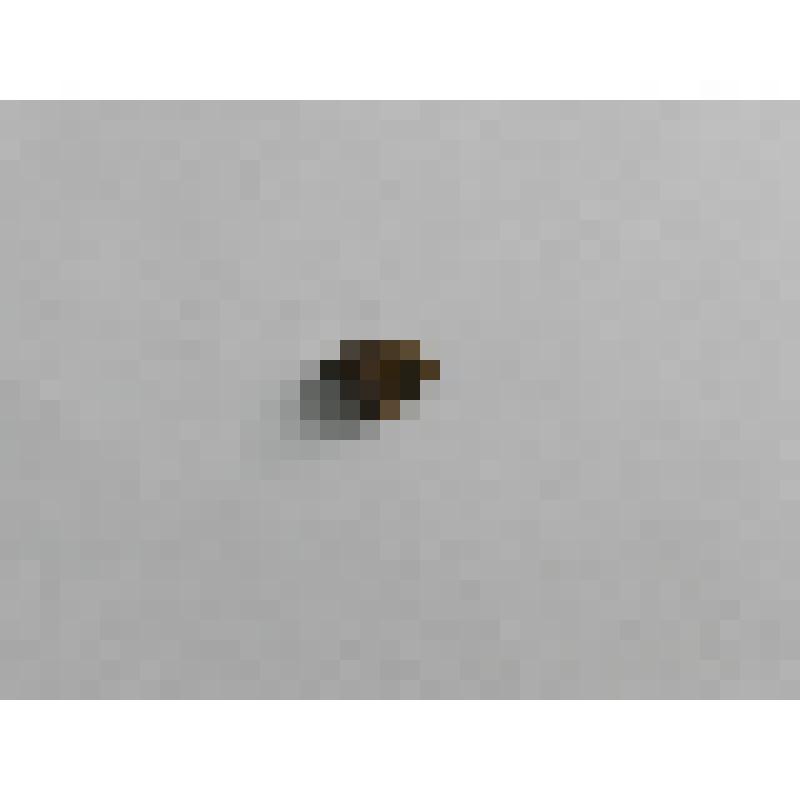 Фрагмент керамики