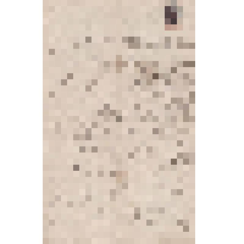 Выпись из актовой книги для актов на недвижимые имения Азовского нотариуса Андрея Николаевича Фомина