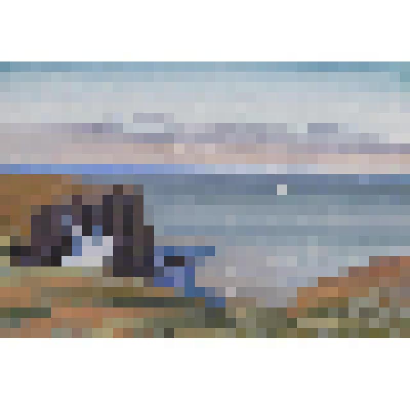 Чайки над морем. Рисунок