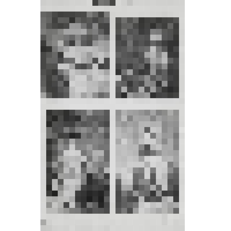 Книга. «Новый энциклопедический словарь»
Том 2  Лит. Александр Ягеллонъ – Антидоръ.
Издатели: Ф.А. Брокгауз (Лейпциг), И.А. Ефрон (С.-Петербург) Под общей редакцией почётного академика К.К. Арсеньева. 
С.-Петербург. Типография Акционерного Общества «Брокг