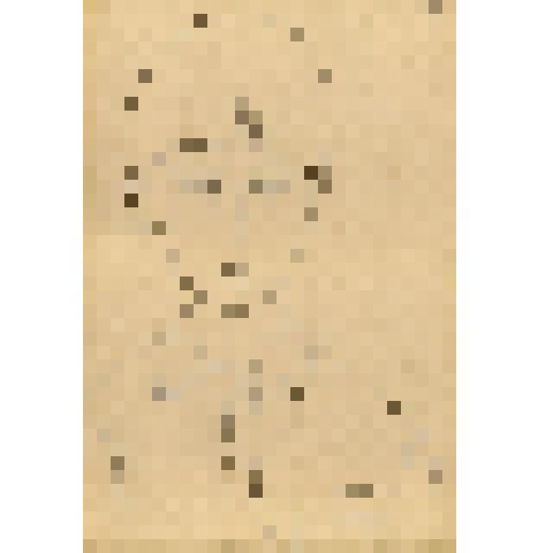 Графическая работа "Портрет Коли"