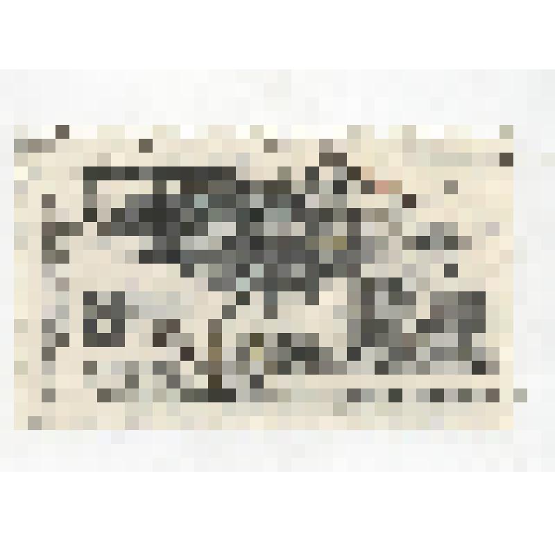 "La ochranu evropse - floru a faunu. Volavka popolava". Чехословакия, 1983 г. Гашеная. Марка почтовая