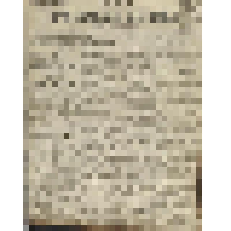 Газета. Русское знамя. № 196 (2 л.;)